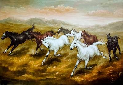 unknow artist Horses 08 oil painting picture